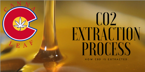 Extraction Process